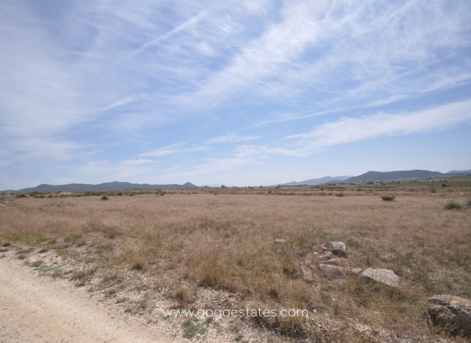 Resale - Plot - Land - Pinoso - Pinoso Centro