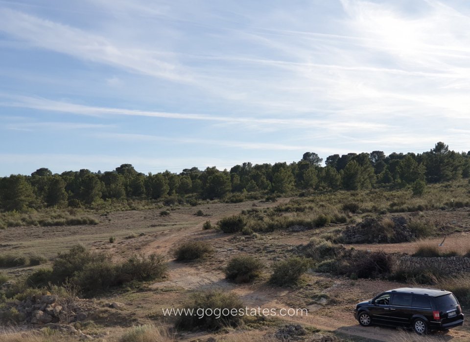 Resale - Plot - Land - Pinoso - Pinoso Centro