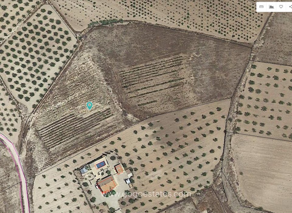 Resale - Plot - Land - Pinoso - Pinoso Centro