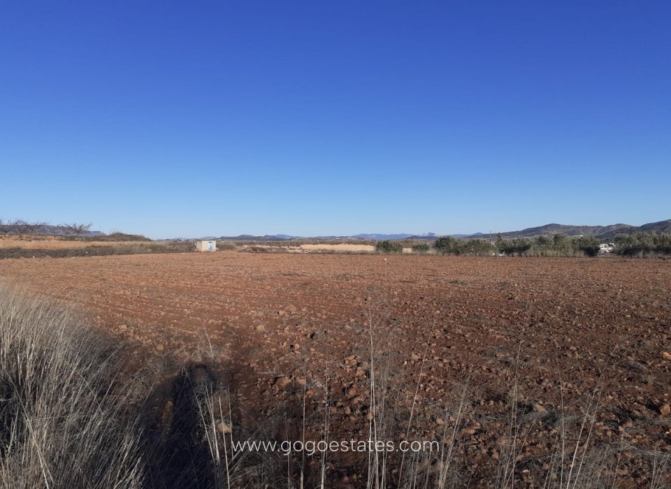 Resale - Plot - Land - Pinoso - Pinoso Centro