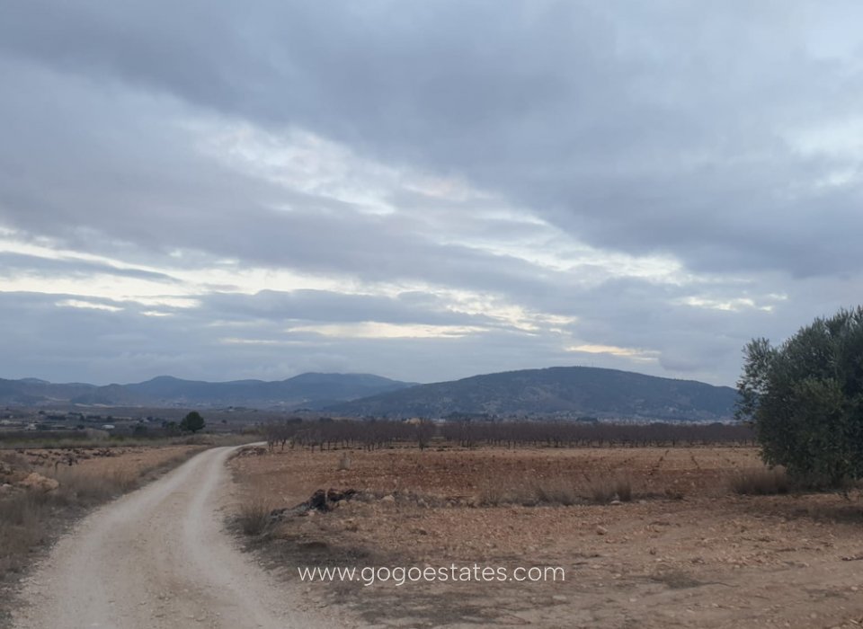 Resale - Plot - Land - Pinoso - Pinoso Centro