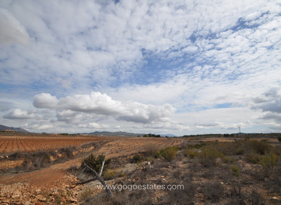 Resale - Plot - Land - Pinoso - Pinoso Centro