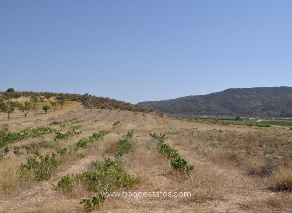 Resale - Plot - Land - Pinoso - Pinoso Centro