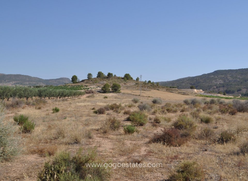 Resale - Plot - Land - Pinoso - Pinoso Centro
