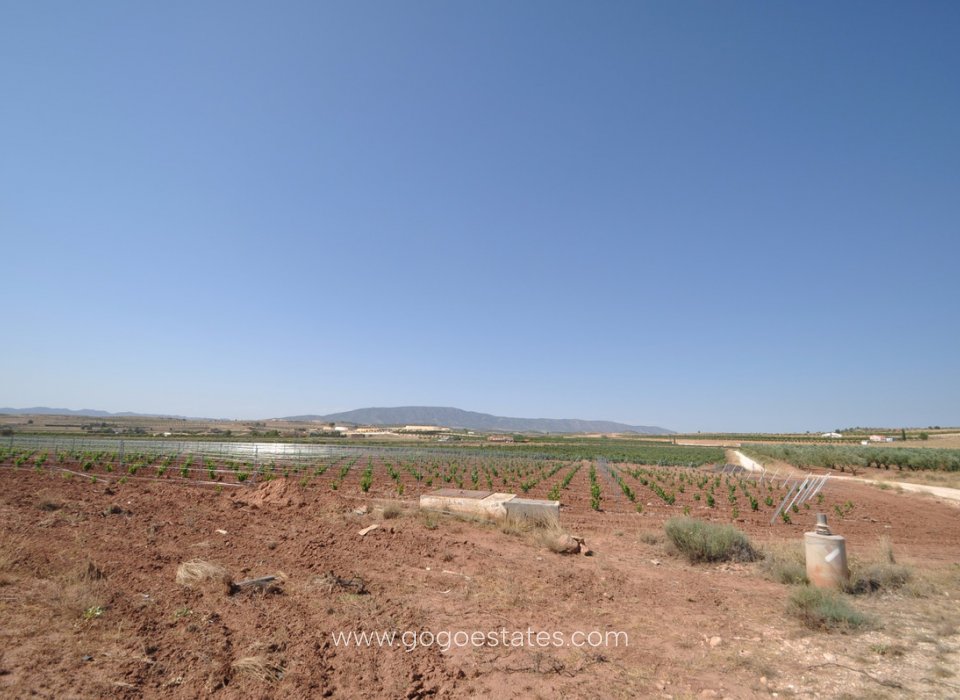 Resale - Plot - Land - Pinoso - Pinoso Centro