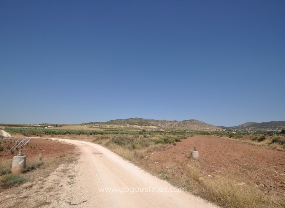 Resale - Plot - Land - Pinoso - Pinoso Centro