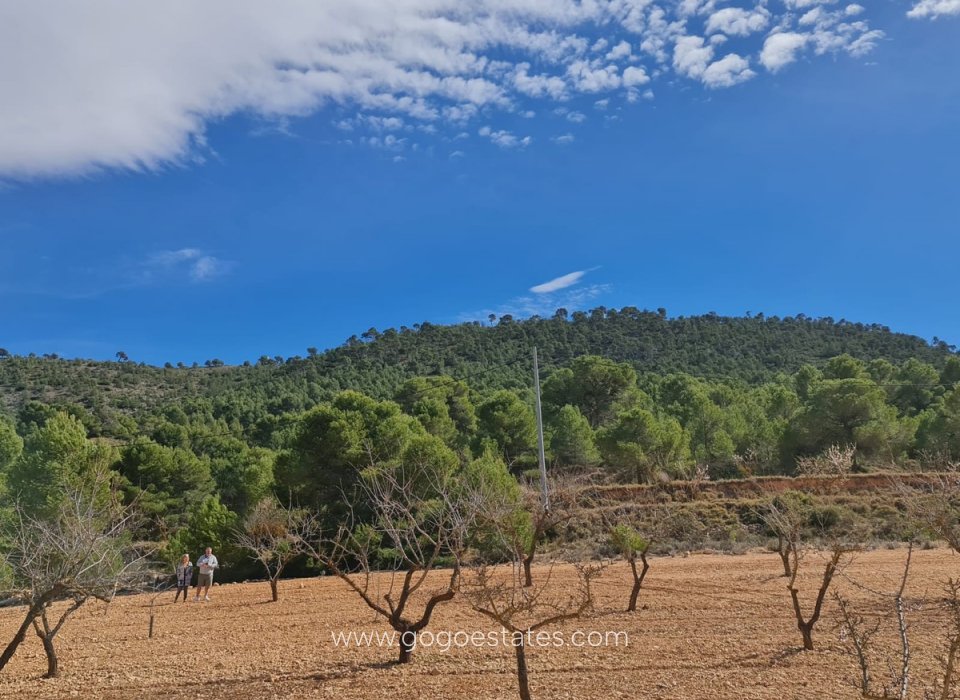 Resale - Plot - Land - Pinoso - Pinoso Centro