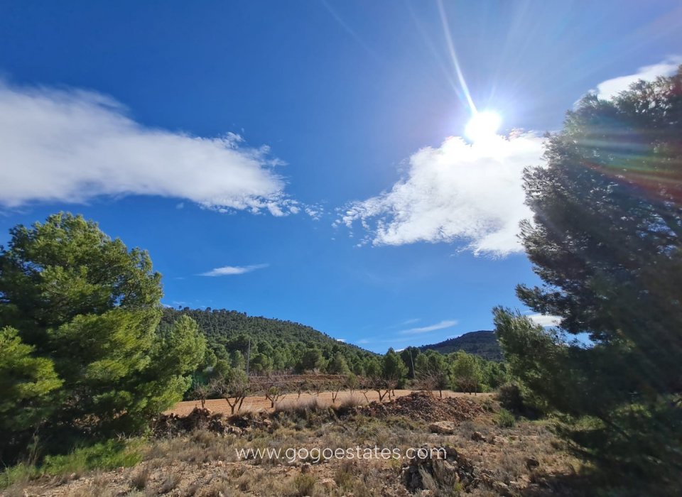 Resale - Plot - Land - Pinoso - Pinoso Centro