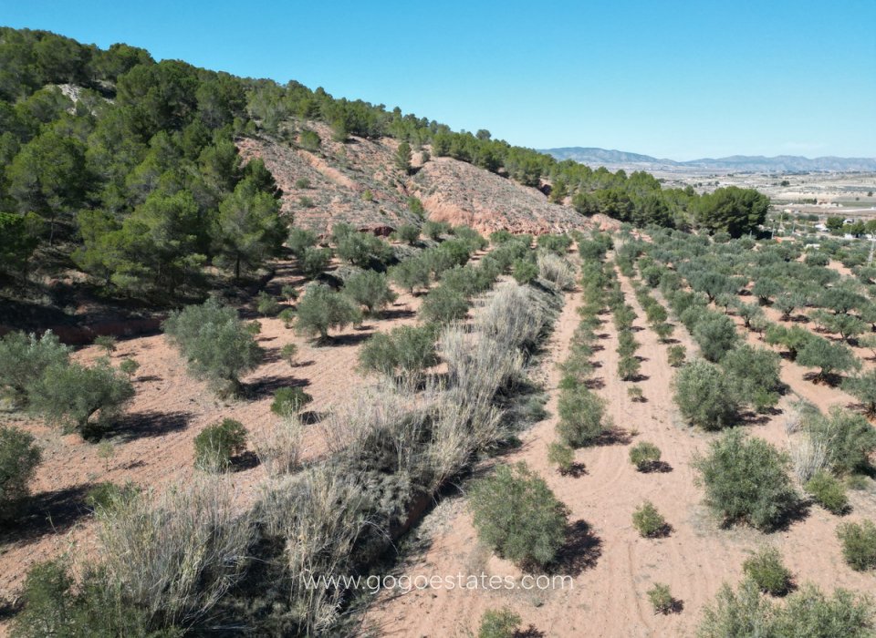 Resale - Plot - Land - Pinoso - Pinoso Centro