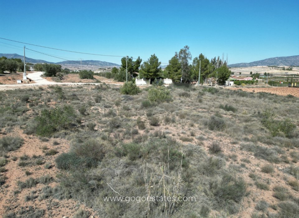Resale - Plot - Land - Pinoso - Pinoso Centro