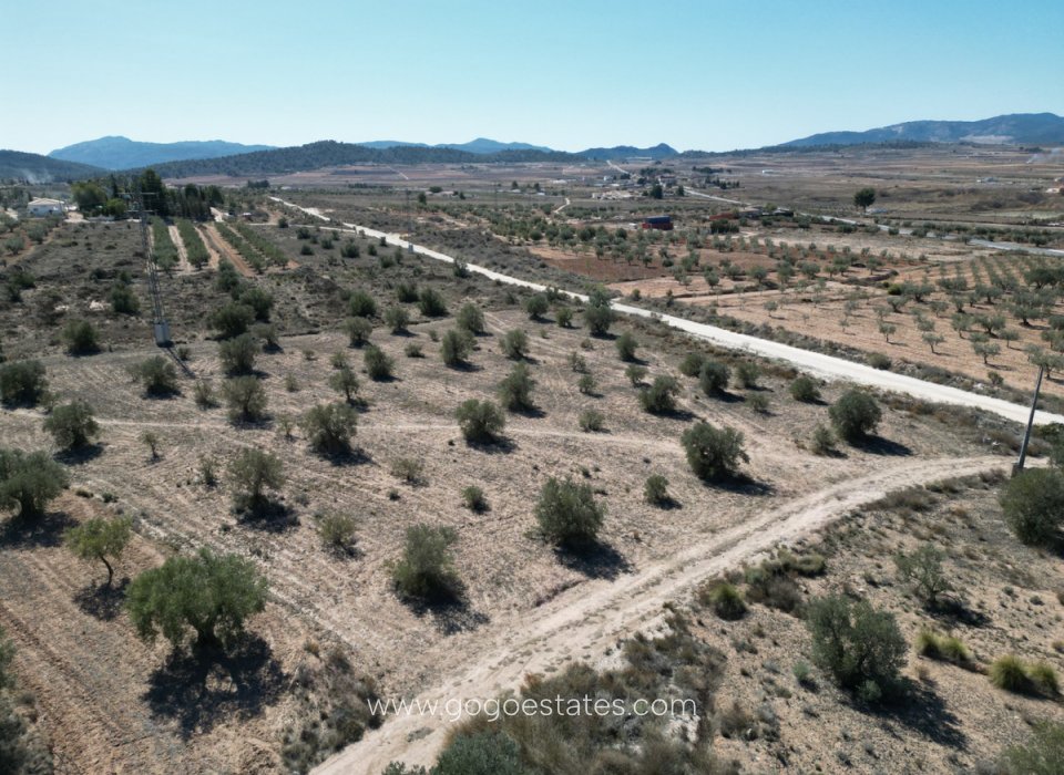 Resale - Plot - Land - Pinoso - Pinoso Centro