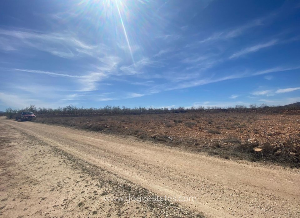 Resale - Plot - Land - Pinoso - Pinoso Centro