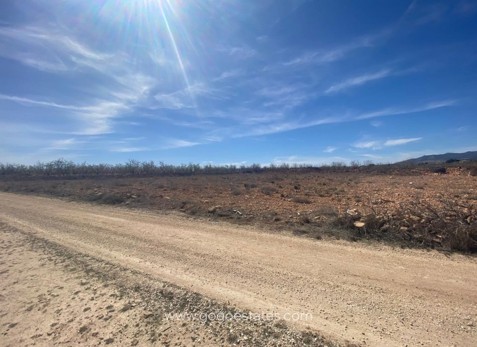 Resale - Plot - Land - Pinoso - Pinoso Centro