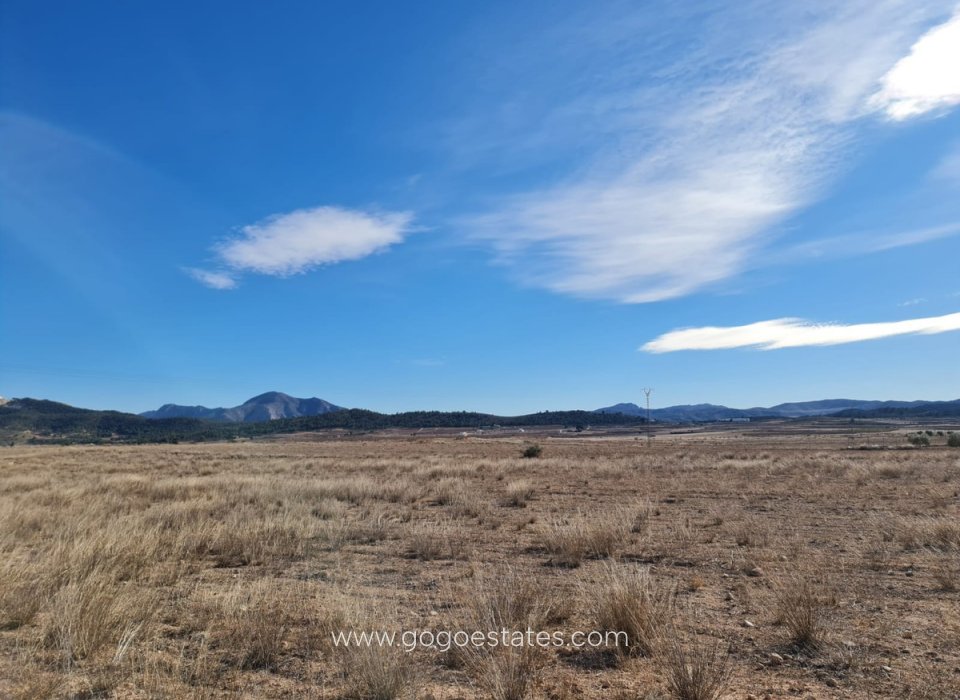 Resale - Plot - Land - Pinoso - Pinoso Centro