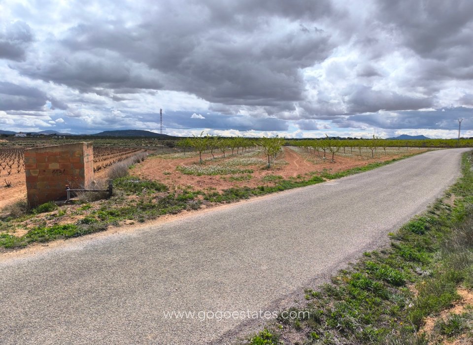 Resale - Plot - Land - Pinoso - Pinoso Centro