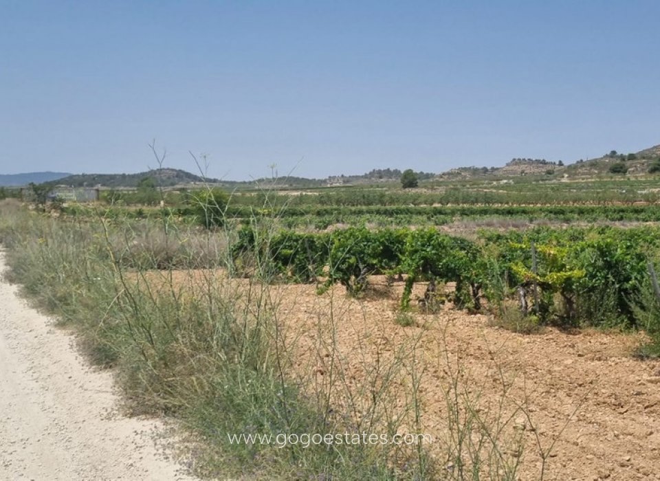 Resale - Plot - Land - Pinoso - Pinoso Centro