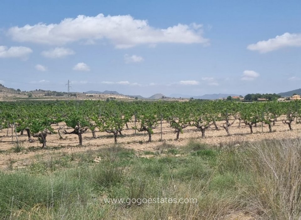 Resale - Plot - Land - Pinoso - Pinoso Centro