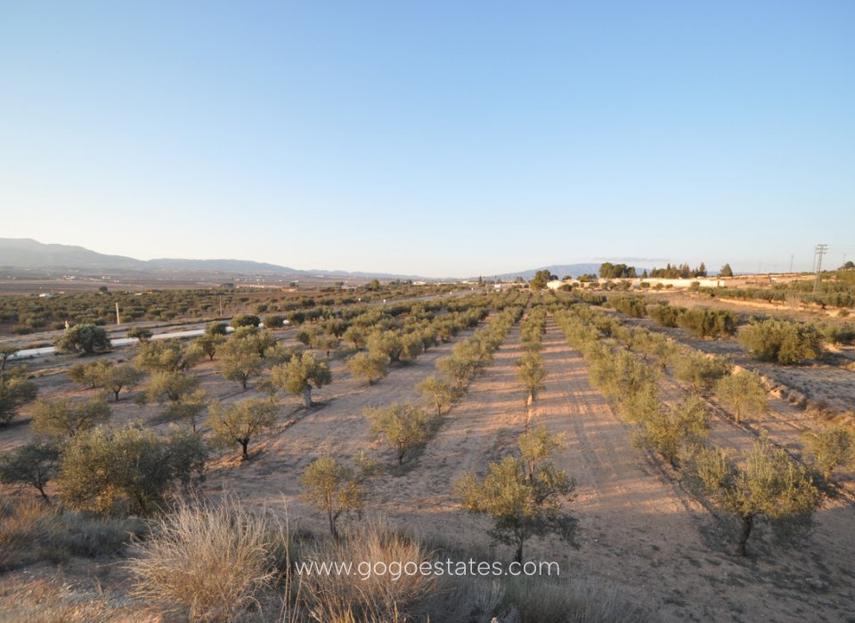 Resale - Plot - Land - Pinoso - Pinoso Centro