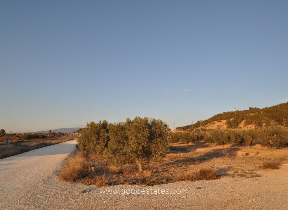 Resale - Plot - Land - Pinoso - Pinoso Centro