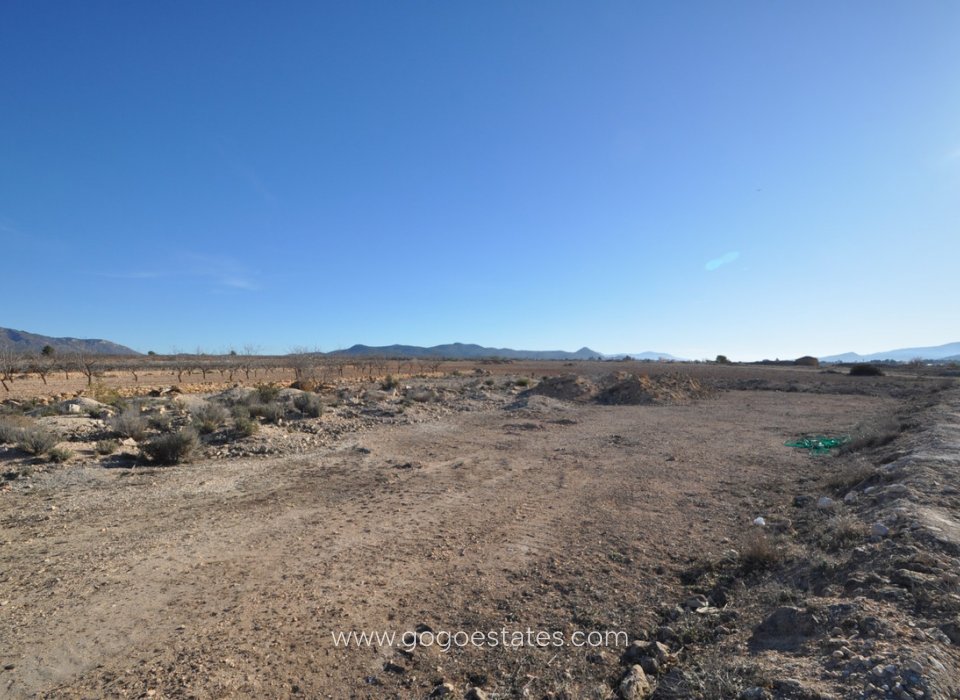 Resale - Plot - Land - Pinoso - Pinoso Centro