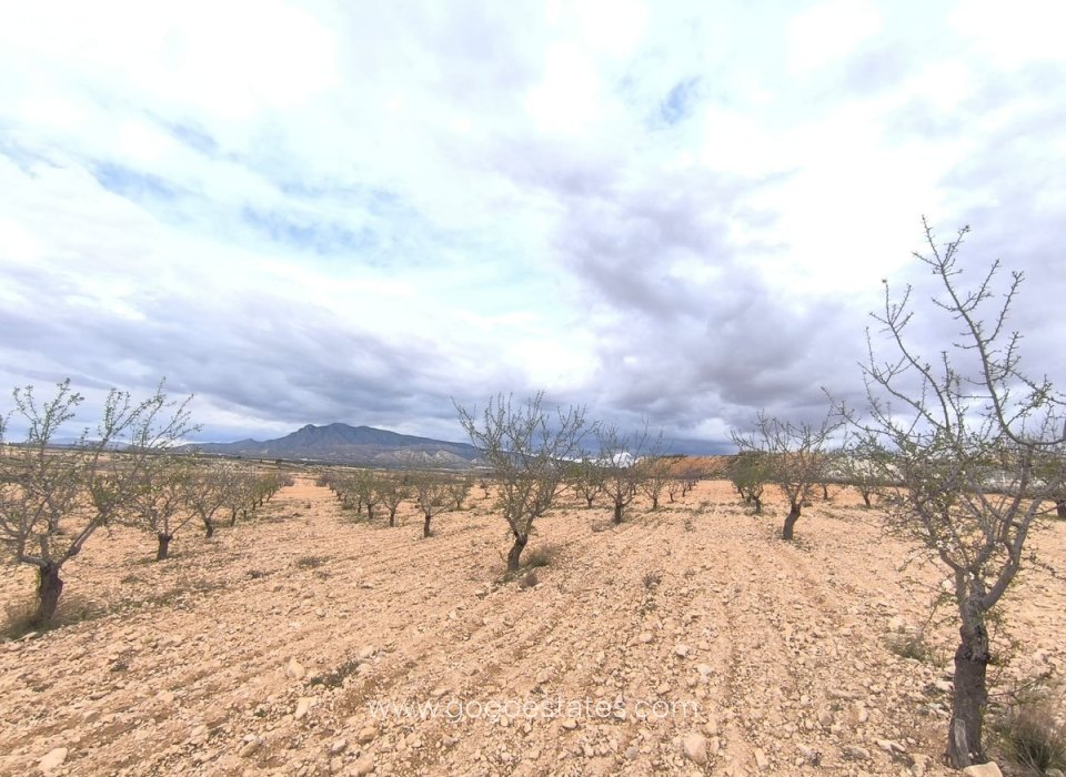 Resale - Plot - Land - Pinoso - Pinoso Centro