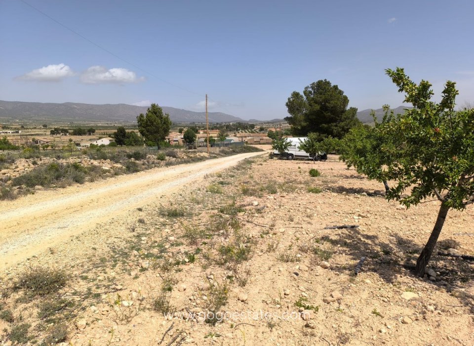 Resale - Plot - Land - Pinoso - Pinoso Centro