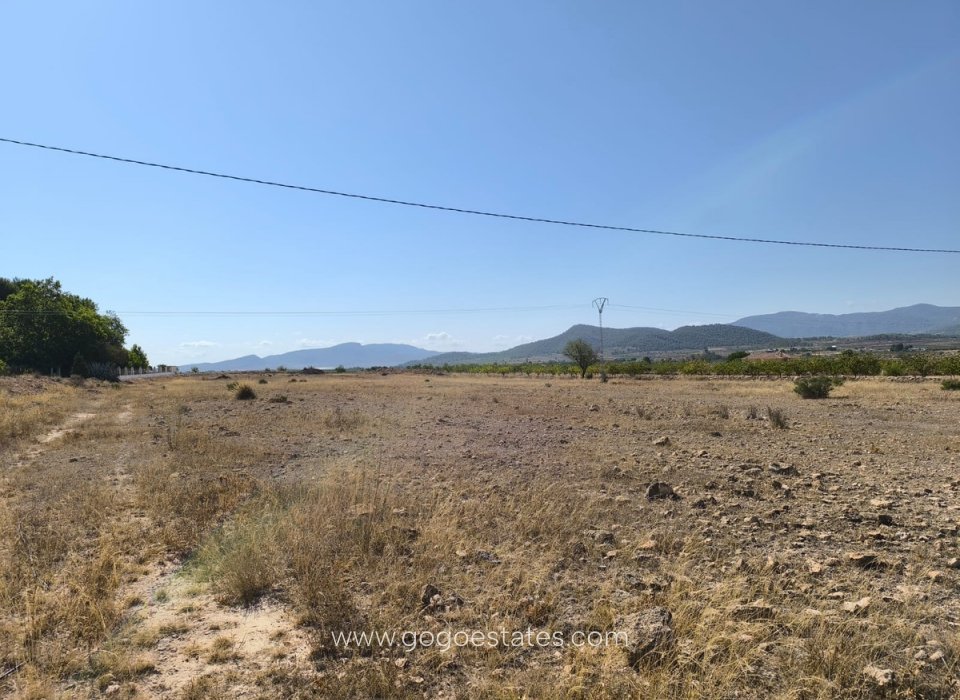 Resale - Plot - Land - Pinoso - Pinoso Centro