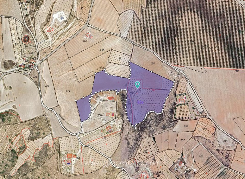 Resale - Plot - Land - Pinoso - Pinoso Centro