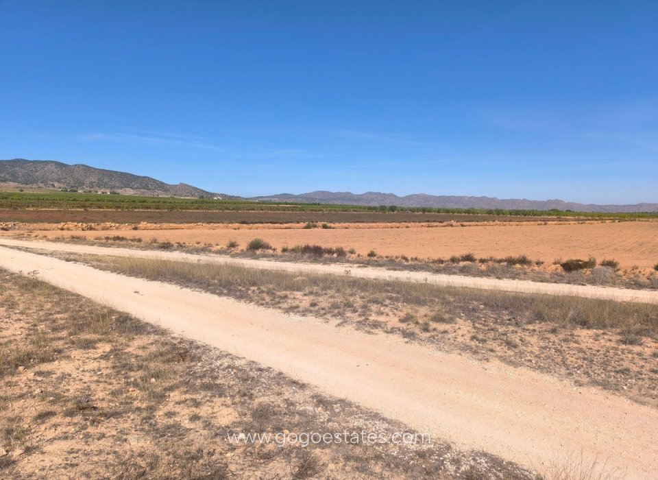 Resale - Plot - Land - Pinoso - Pinoso Centro