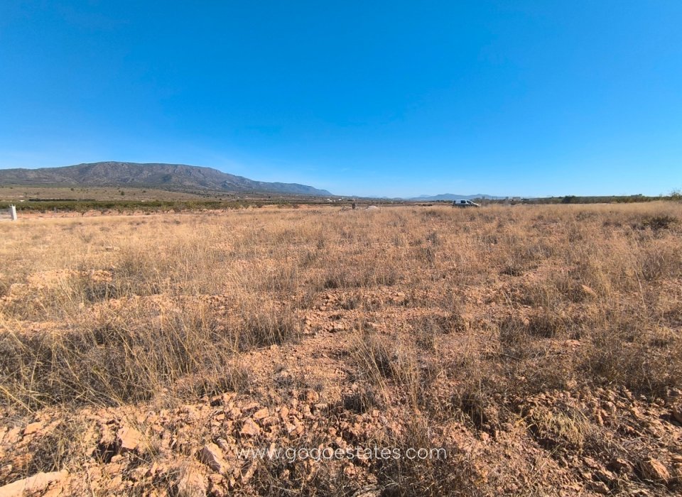 Resale - Plot - Land - Pinoso - Pinoso Centro