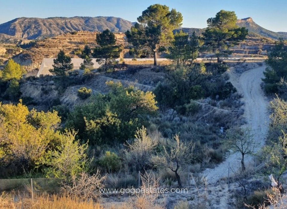 Resale - Plot - Land - Relleu - Relleu Centro