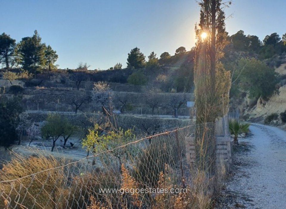 Resale - Plot - Land - Relleu - Relleu Centro