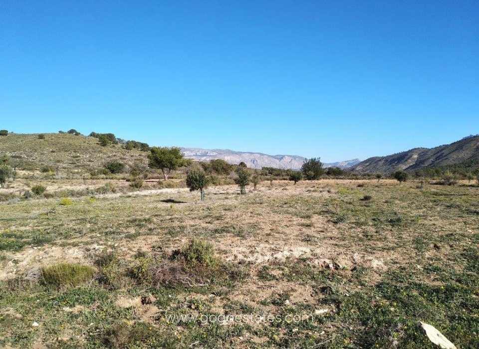 Resale - Plot - Land - Relleu - Relleu Centro