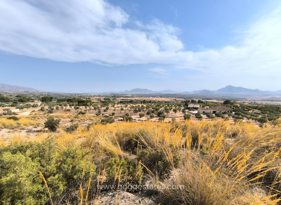 Resale - Plot - Land - Sax - Sax Centro