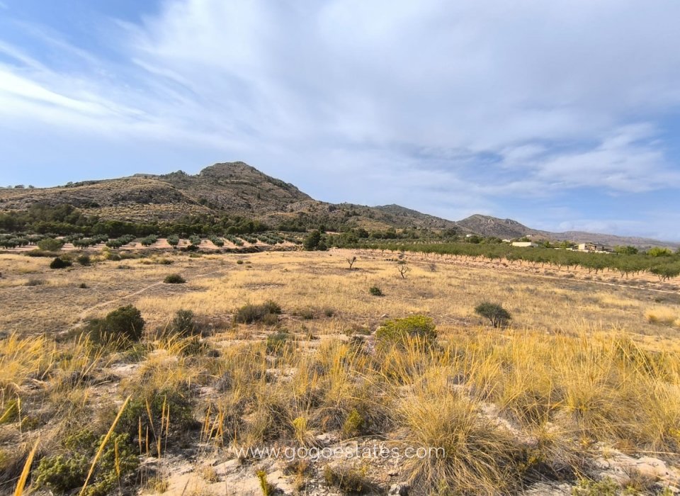 Resale - Plot - Land - Sax - Sax Centro