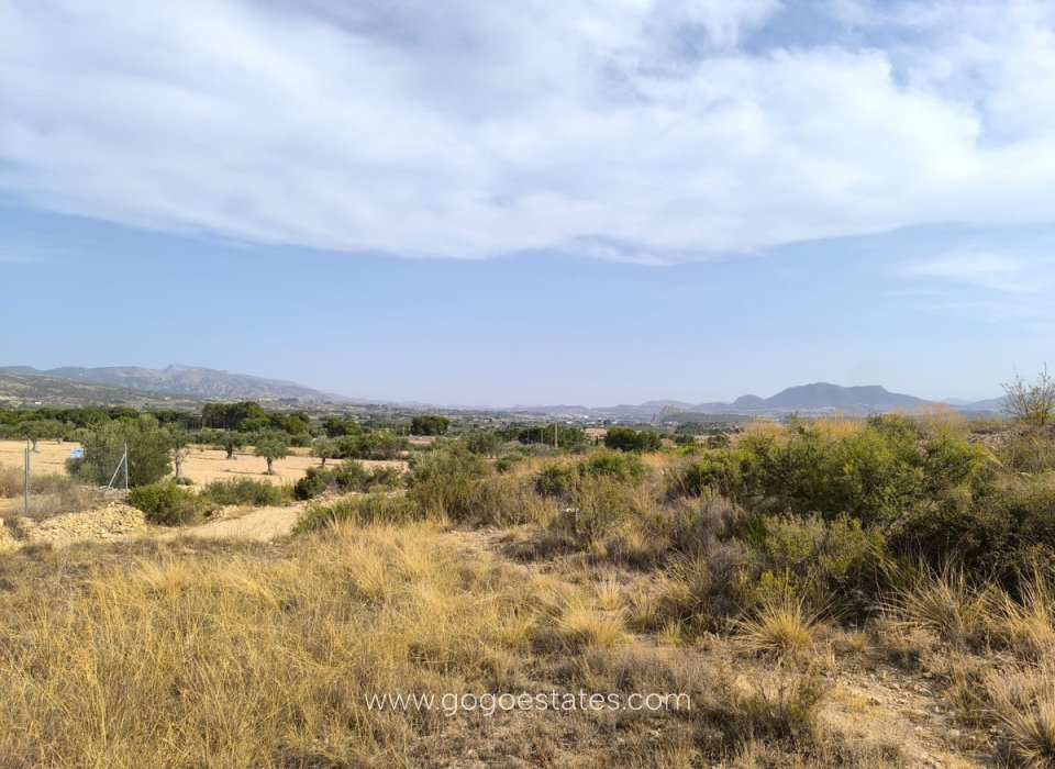 Resale - Plot - Land - Sax - Sax Centro