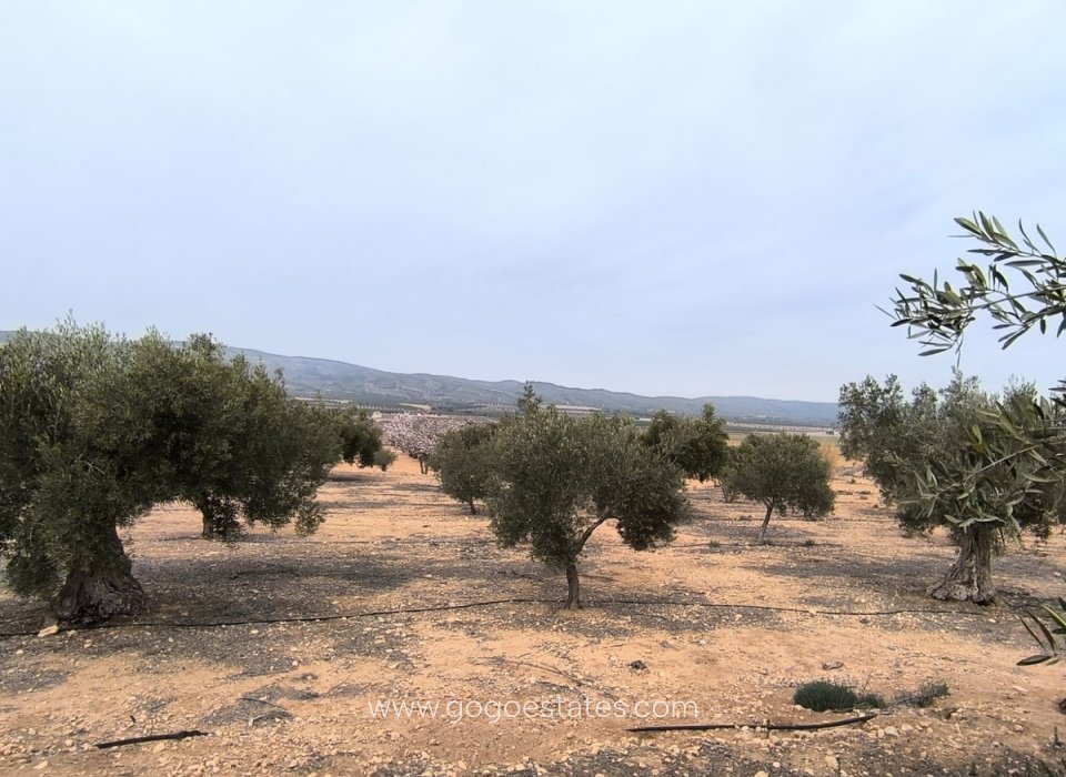 Resale - Plot - Land - Villena - Villena Centro