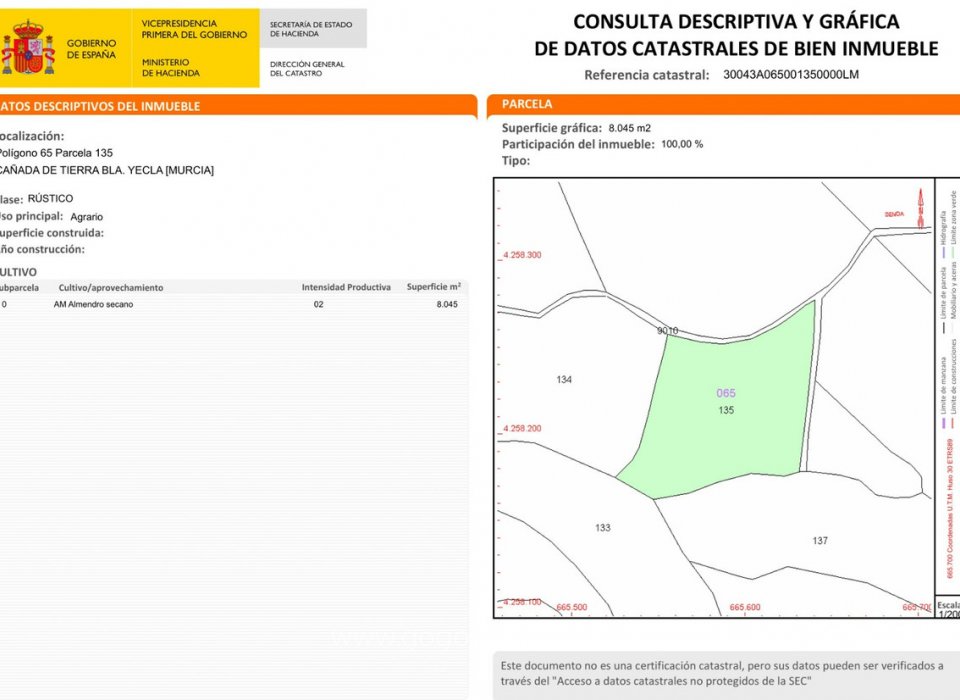Resale - Plot - Land - Yecla - Raspay