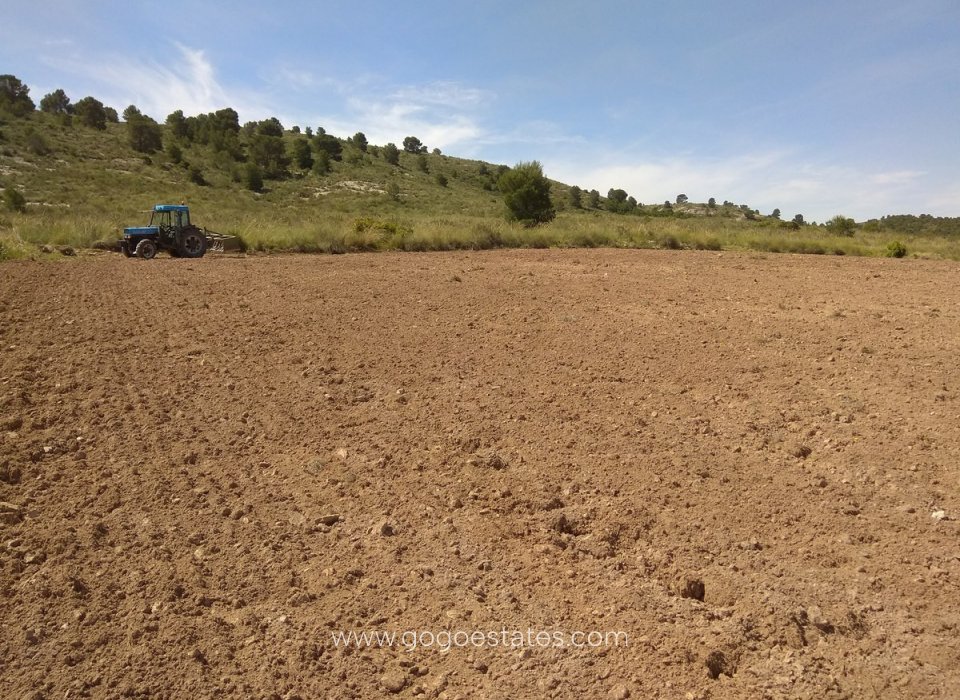 Resale - Plot - Land - Yecla - Yecla Centro