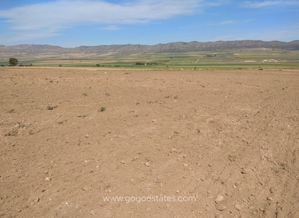 Resale - Plot - Land - Yecla - Yecla Centro