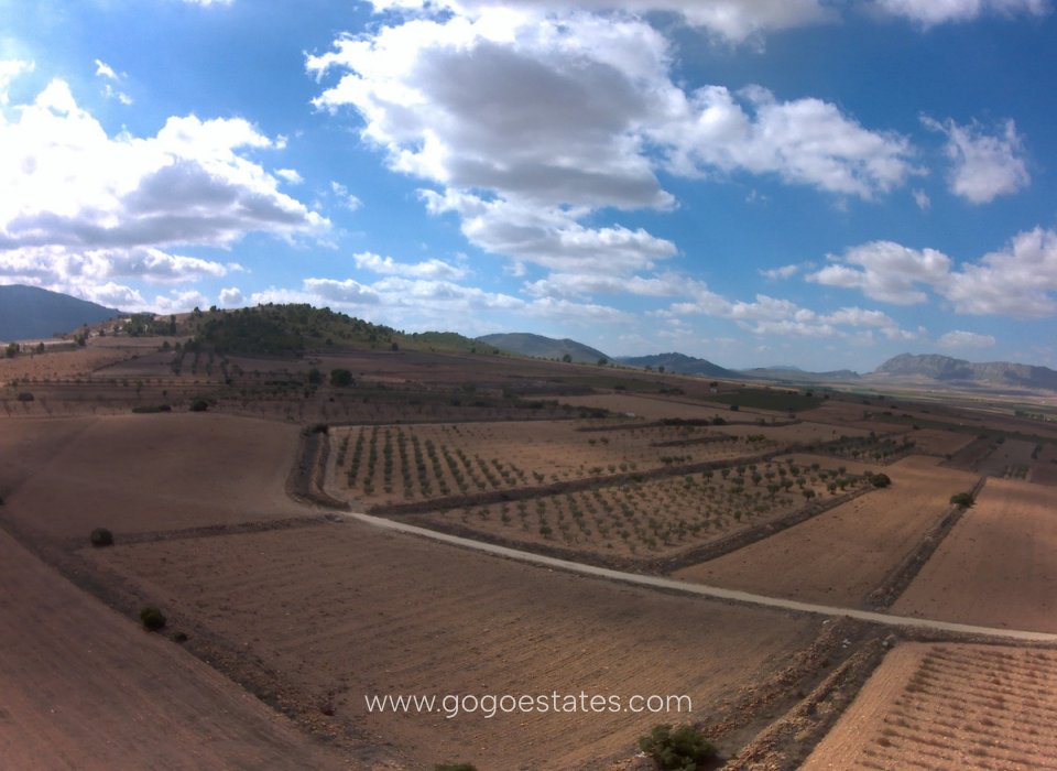 Resale - Plot - Land - Yecla - Yecla Centro