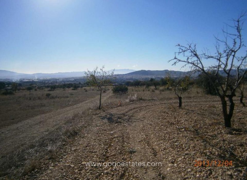 Resale - Plot - Land - Yecla - Yecla Centro