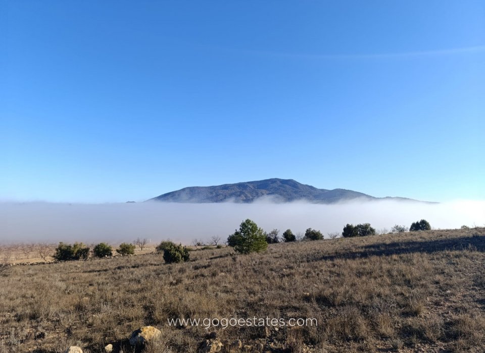 Resale - Plot - Land - Yecla - Yecla Centro