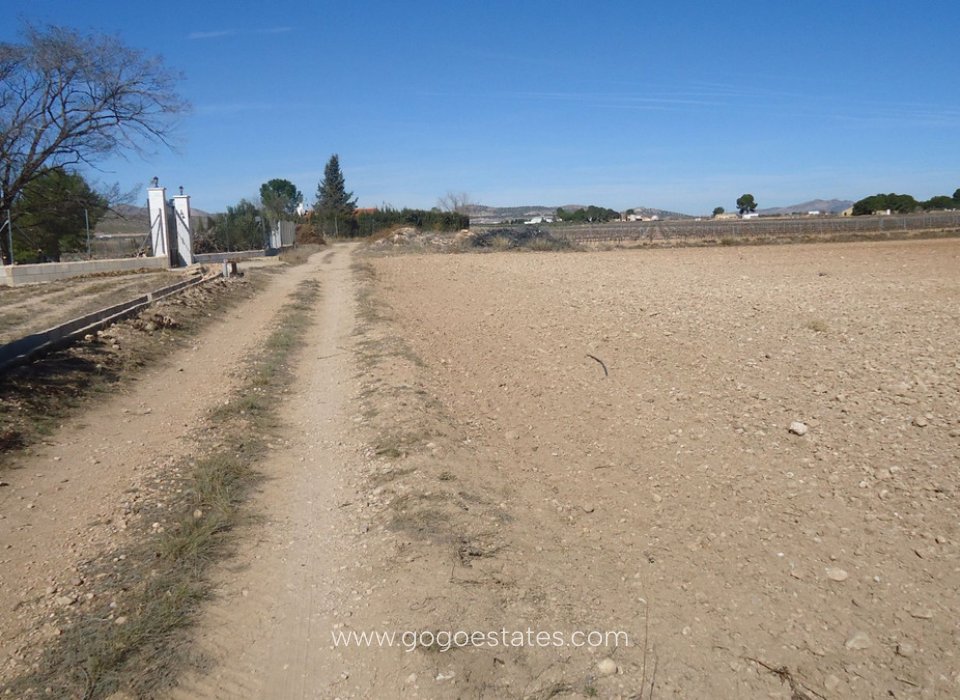 Resale - Plot - Land - Yecla - Yecla Centro