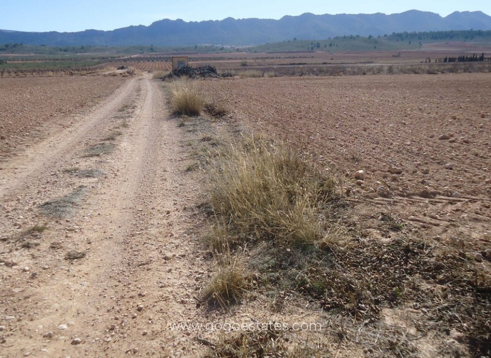 Resale - Plot - Land - Yecla - Yecla Centro