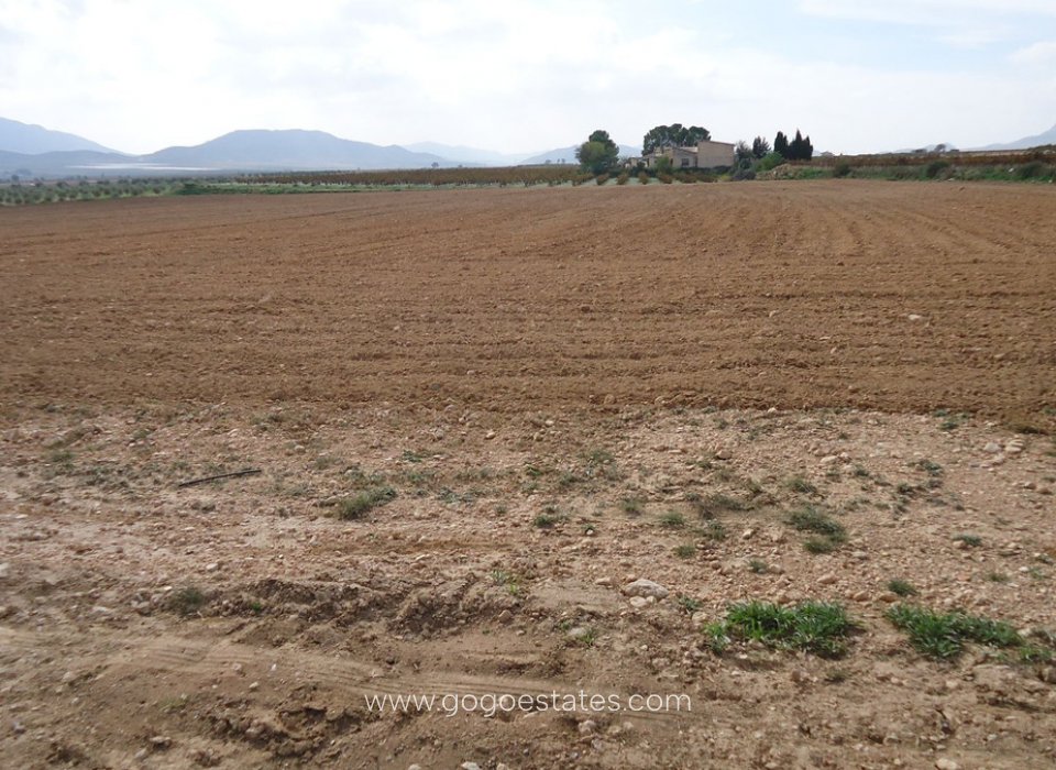 Resale - Plot - Land - Yecla - Yecla Centro