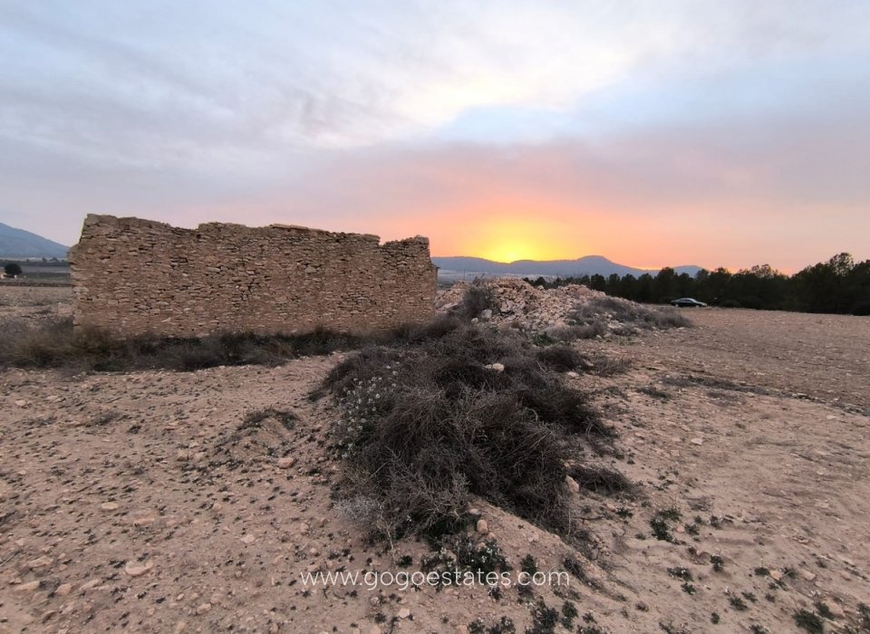 Resale - Plot - Land - Yecla - Yecla Centro