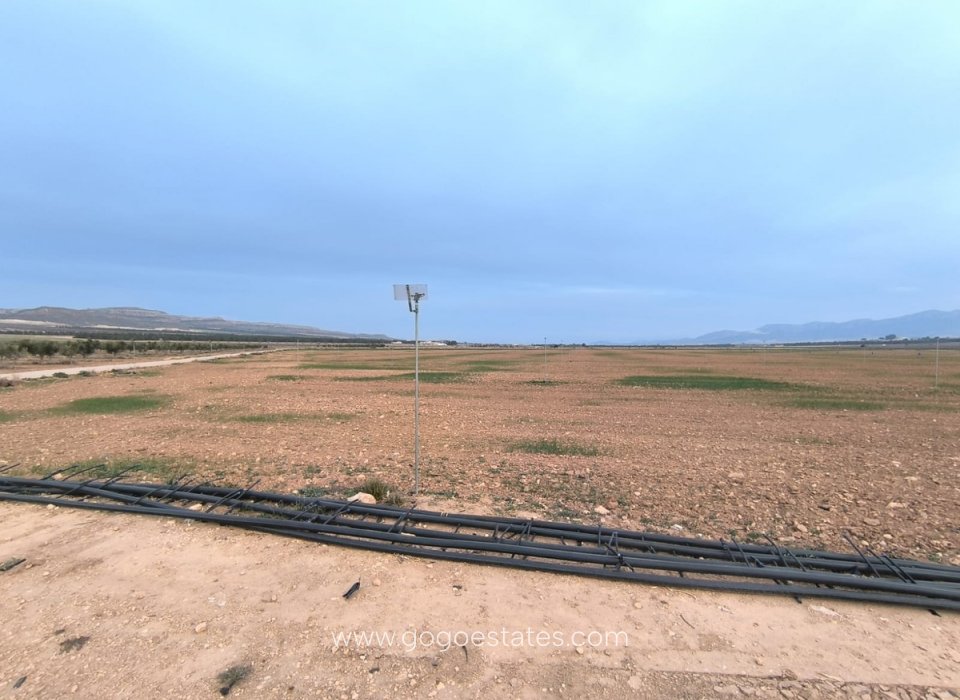 Resale - Plot - Land - Yecla - Yecla Centro