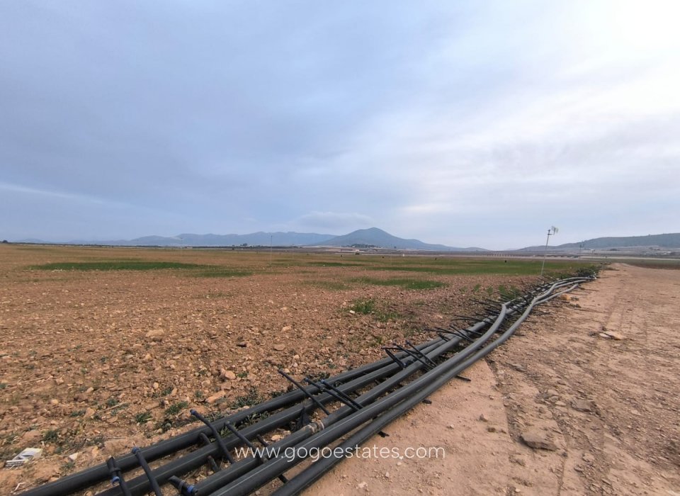 Resale - Plot - Land - Yecla - Yecla Centro