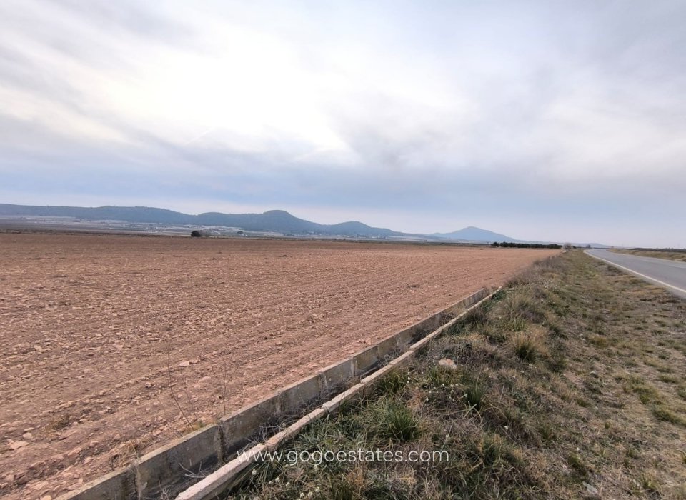 Resale - Plot - Land - Yecla - Yecla Centro